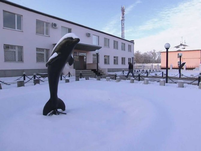 Черный дельфин как сидят в самой суровой российской колонии
