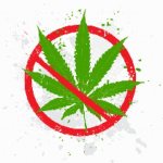 Что грозит за выращивание марихуаны