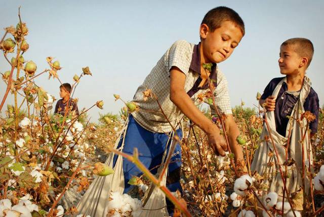Эксплуатация детского труда: Статья УК РФ за использование труда ребенка