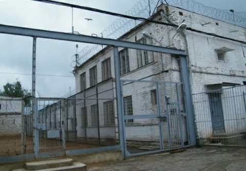 Photo of white swan prison