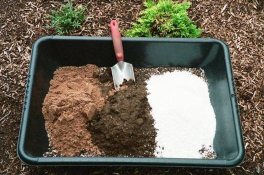 soil mixture for growing outdoors