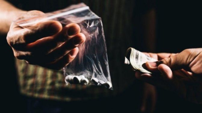 Where can you anonymously report drug dealers or drug addicts?