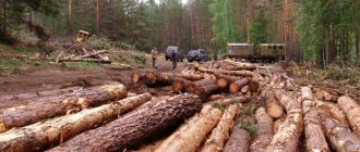 Меры ответственности за незаконную рубку лесных насаждений