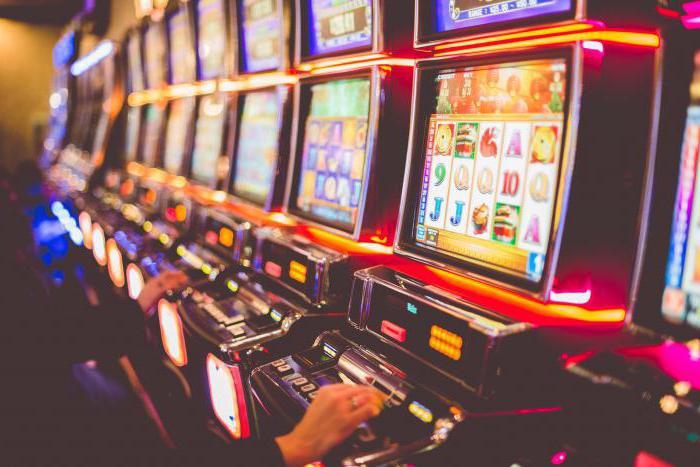 незаконные организация и проведение азартных игр статья