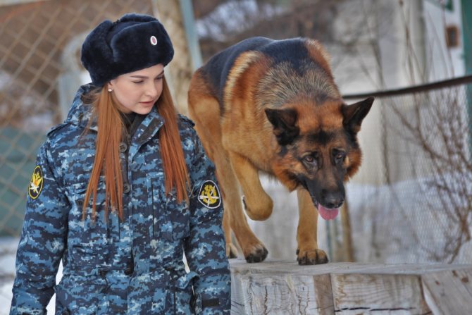 Anastasia Solovyova spoke about stereotypes, the first caches and her faithful partner Boyar