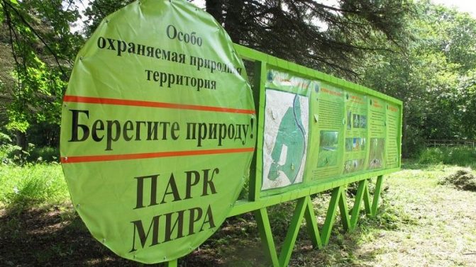 Responsibility for violating the regime of specially protected natural areas and natural objects