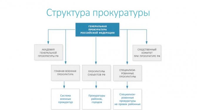 Структура органов прокуратуры
