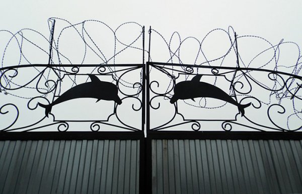 Prison gate with dolphins